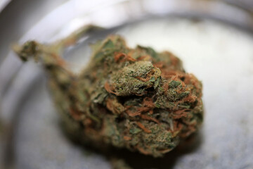 Cannabis bud medical marihuana super lemon haze high quality modern prints