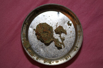 Cannabis bud medical marihuana super lemon haze high quality modern prints