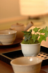 陶器と観葉植物