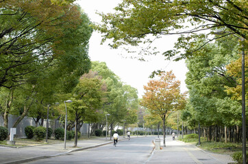 長居公園の周回道路