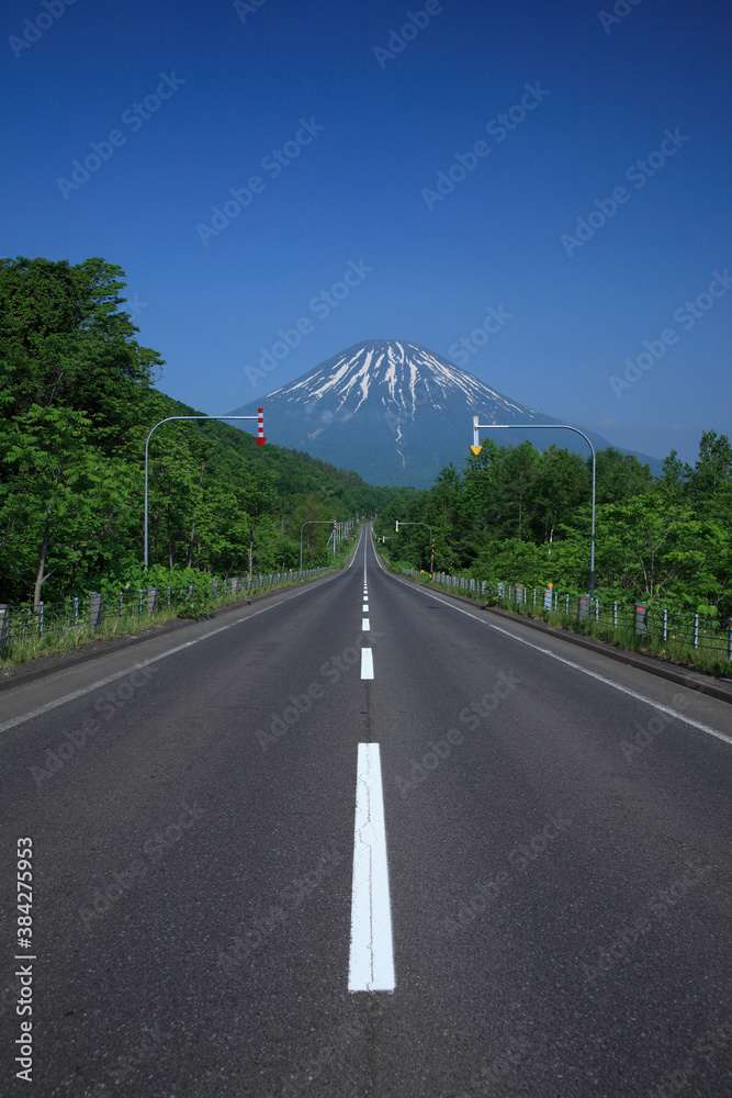 Poster 北海道、羊蹄山へ続く道