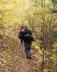 hikers on a path in autumn