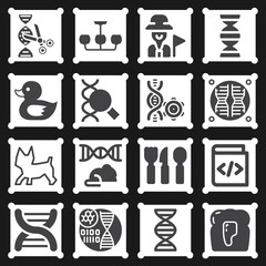 16 pack of rna  filled web icons set
