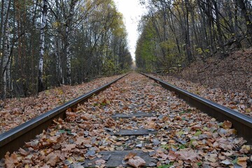 Abandoned railroad tracks strewn with autumn leaves