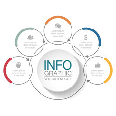 Vector infographic template, circle with 5 steps or options. Data presentation, business concept design for web, brochure, diagram.