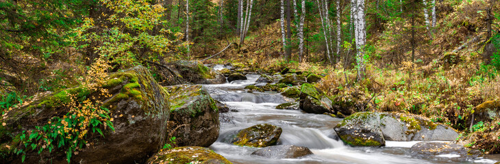 Autumn nature of the Altai mountains in the resort of Belokurikha