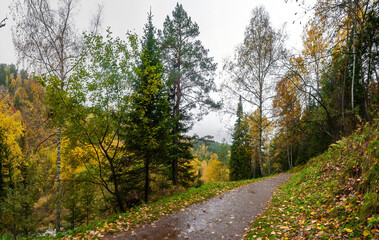 Fototapeta na wymiar Autumn nature of the Altai mountains in the resort of Belokurikha