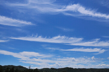 青空と白い雲