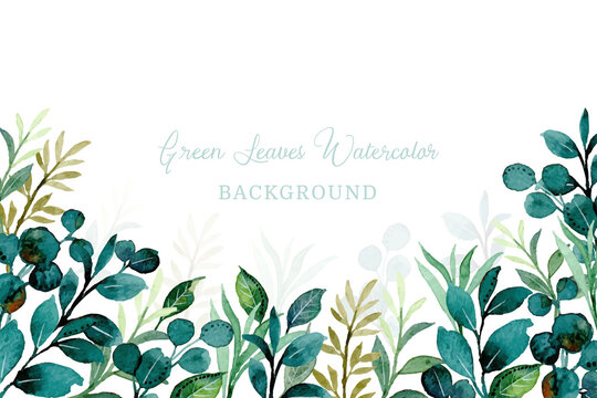 Green foliage watercolor background