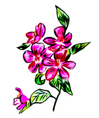 A painted twig with pink flowers