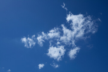 夏の青空にポッカリ浮いた白い雲