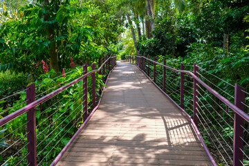 Boardwalk in the George Brown Darwin Botanic Gardens in Darwin City in the Northern Territory of Australia.