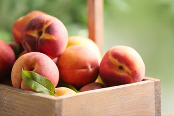 Fresh sweet peaches in wooden crate outdoors, closeup