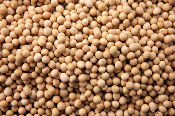 soy bean