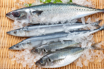 鮮魚