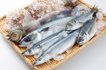 魚介盛り合わせ