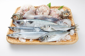 魚介盛り合わせ