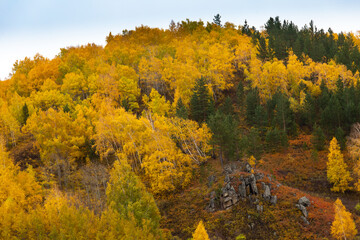 Fototapeta premium colorful autumn landscape in the foothills of altai