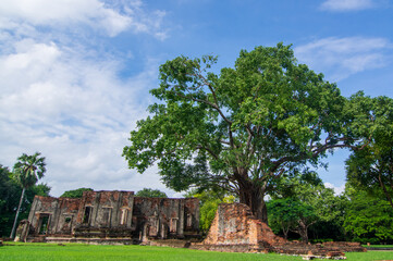 The giant tree in Tale Chupsorn Pavilion Lop Buri Thailand 