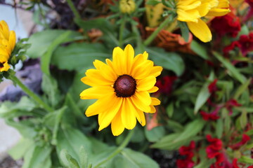 Fall historic town photos