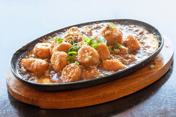 Chinese hot plate tofu with green onion