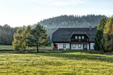 Remote house with trees and green lawn in morning mist