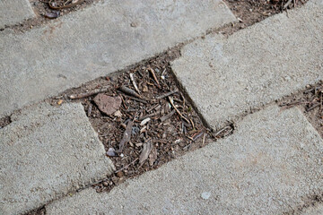 pavers laid on the soil