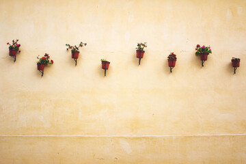 muro con macetas