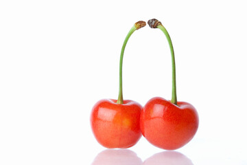 国産サクランボ