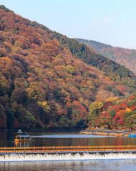 Fototapeta na wymiar Beautiful Autumn Leaves in Kyoto Japan