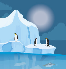 iceberg block arctic night scene with penguins
