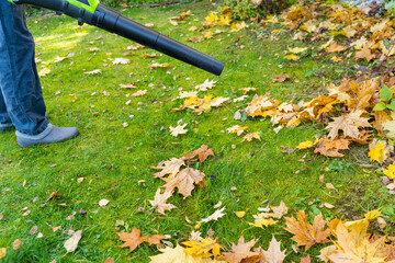 Man with leaf blower sweeping yellow maple leaves off green lawn