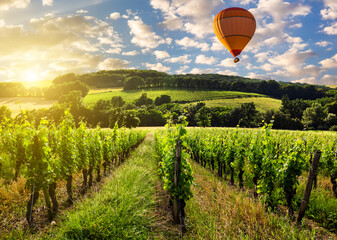 Hot air balloons over a vineyard at sunset, France