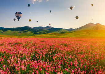Hot air balloons over a mountain valley with flowers.