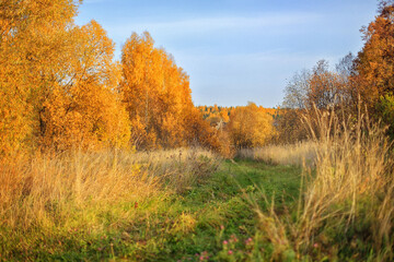 Fototapeta premium Fall