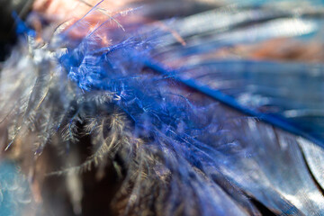 Full frame macro art abstract background of natural blue and white feather textures with defocused background and bokeh