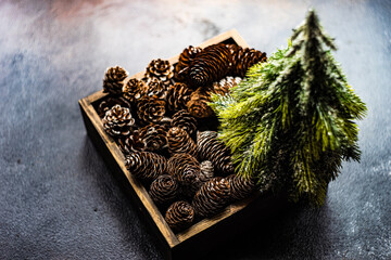 Christmas frame concept with cones