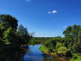 Fototapeta na wymiar A hot sunny day in summer, a wide river with tall willows on its banks, blue sky with clouds