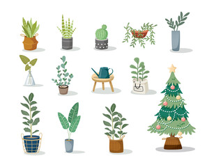 Set of house plant vector flat illustration