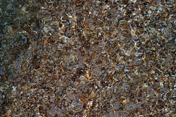 Seaside. Sea bottom. Shell rock.