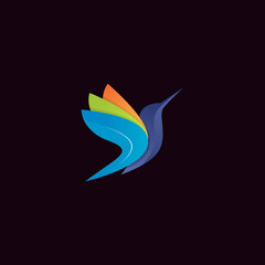 Modern colorful hummingbird logo illustration