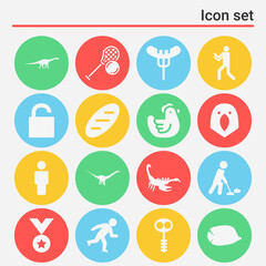 16 pack of poultry  filled web icons set