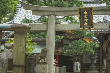 京都御苑内にある白雲神社の石鳥居と境内風景