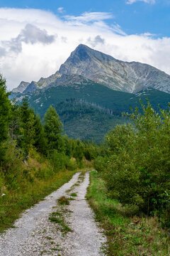 A forest road with Krivan (Krywan) in the background. Tatra Mountains in Slovakia.
