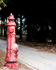 Red fireplug on the street - fire brigade, fire prevention