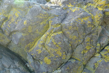 Background from a stone of igneous rock. Wallpaper made of textures of boulders of volcanic origin....
