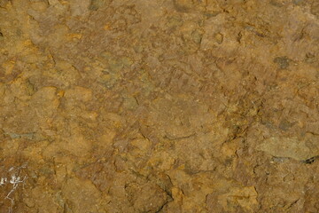 Background from a stone of igneous rock. Wallpaper made of textures of boulders of volcanic origin....