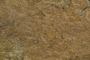 Background from a stone of igneous rock. Wallpaper made of textures of boulders of volcanic origin. Surface of granite, diabase, gabbro interspersed with spar, quartz. Sea shore. Day. Georgia.