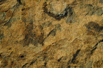 Background from a stone of igneous rock. Wallpaper made of textures of boulders of volcanic origin. Surface of granite, diabase, gabbro interspersed with spar, quartz. Sea shore. Day. Georgia.