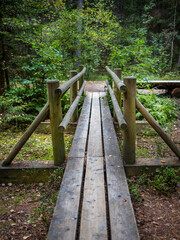 wooden nature trail